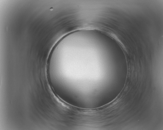 X0000062881484200601271609