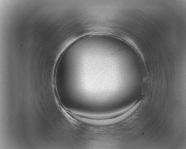 X0000062881485200601271609