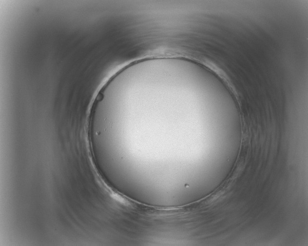 X0000062881486200601271609