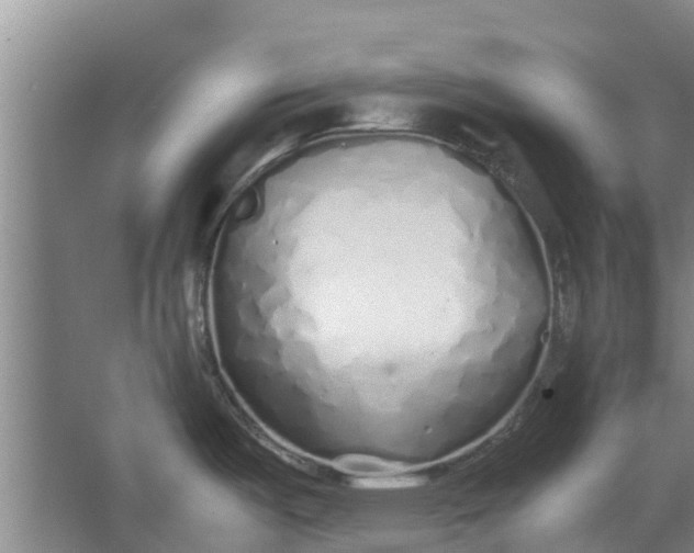 X0000062881487200601271609