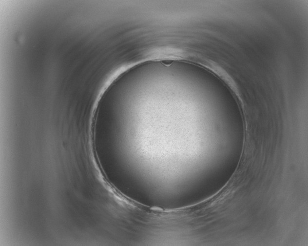 X0000062881488200601271609