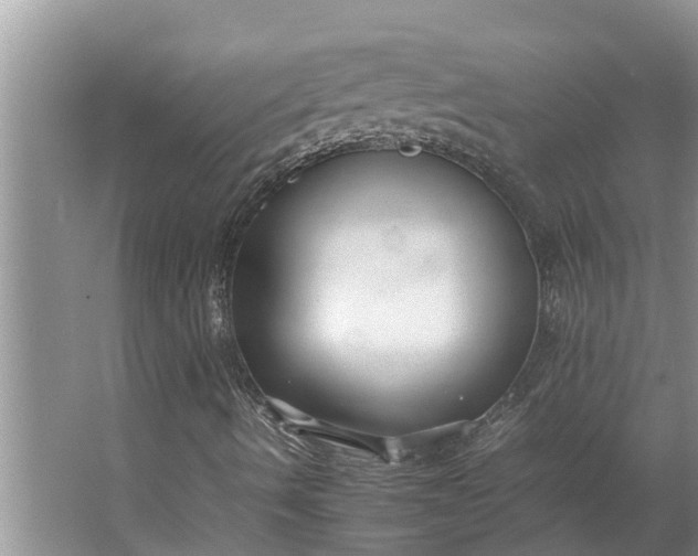 X0000062881490200601271608