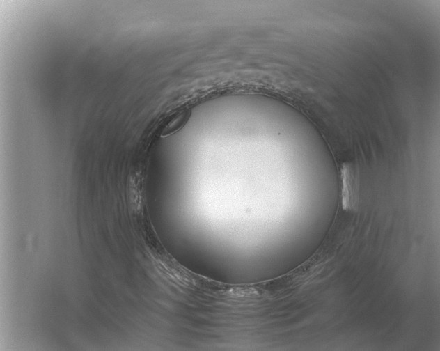 X0000062881491200601271608