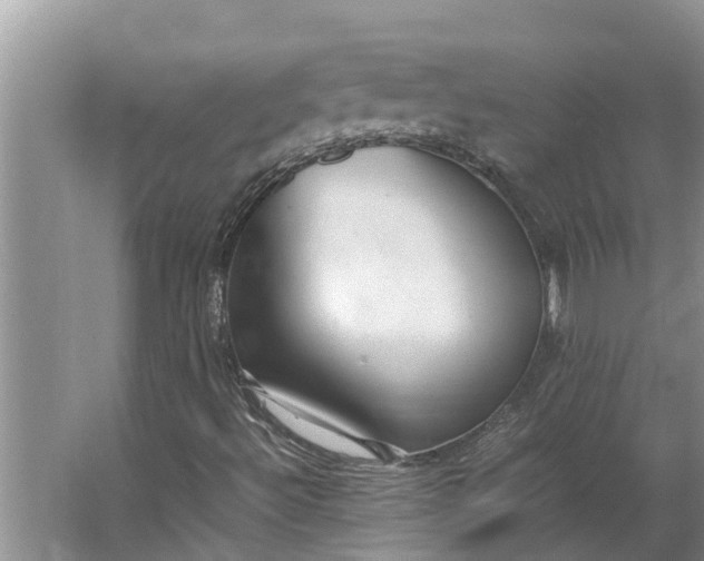 X0000062881492200601271608