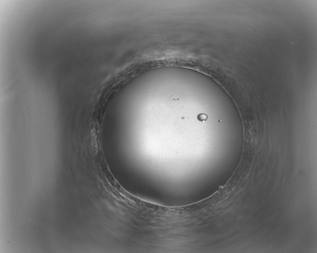 X0000062881493200601271608