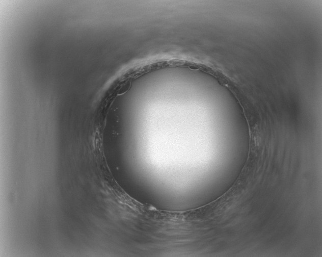 X0000062881495200601271608