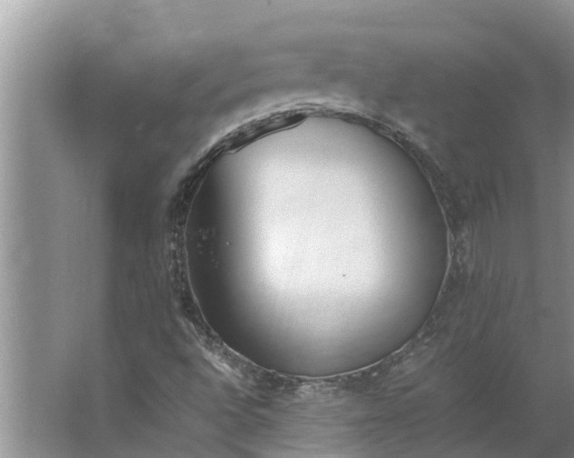 X0000062881496200601271608