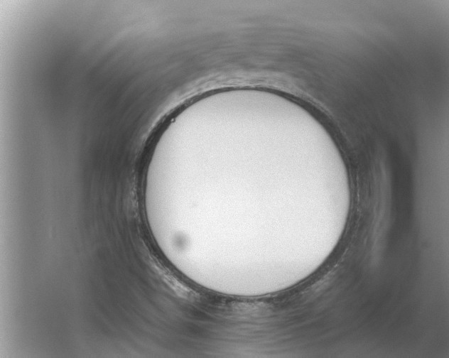 X0000062881498200601271608