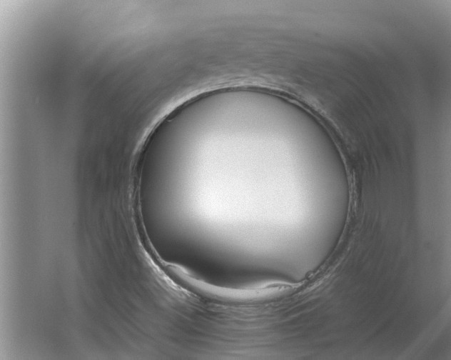 X0000062881500200601271608