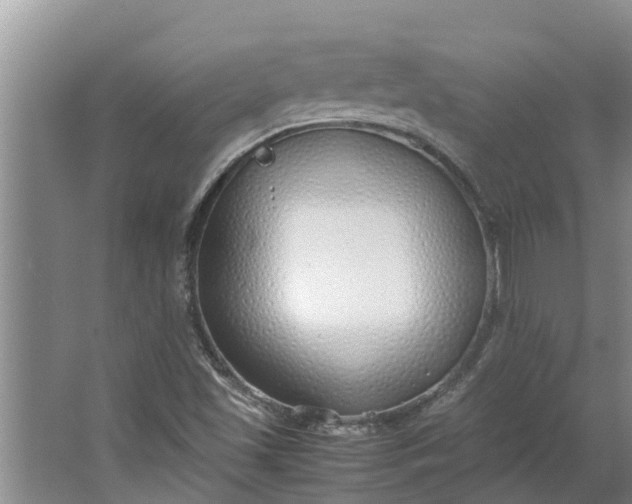 X0000062881501200601271608