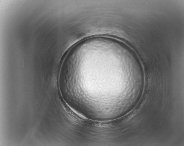 X0000062881505200601271608