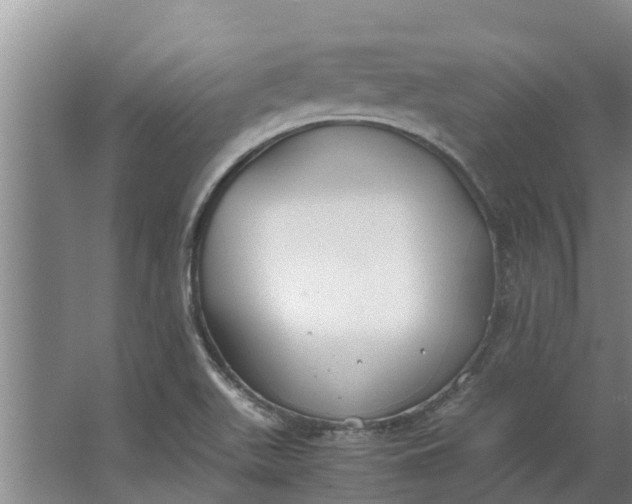 X0000062881511200601271608