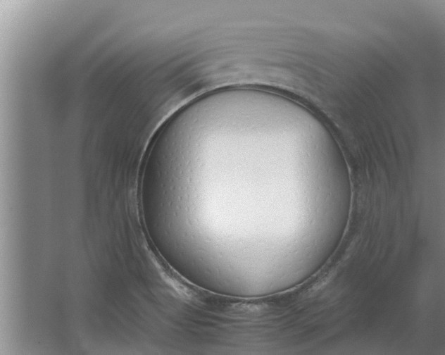 X0000062881513200601271608