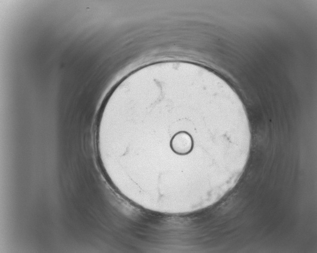 X0000062881514200601271608