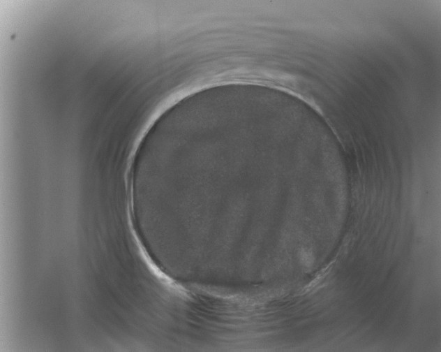 X0000062881515200601271608