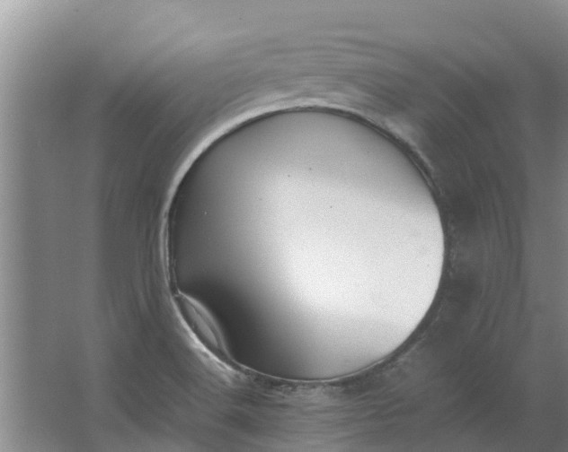 X0000062881516200601271608