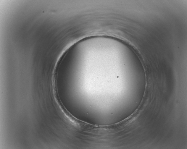 X0000062881517200601271608