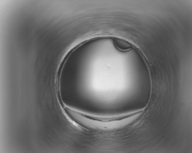 X0000062881519200601271608