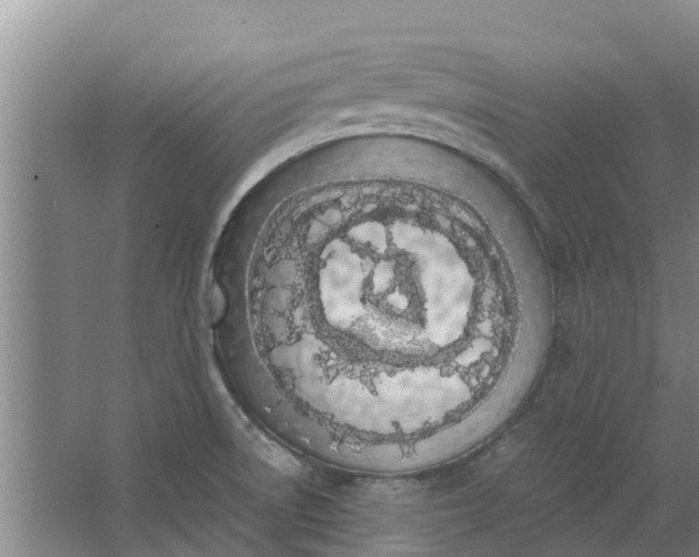 X0000062881522200601271608