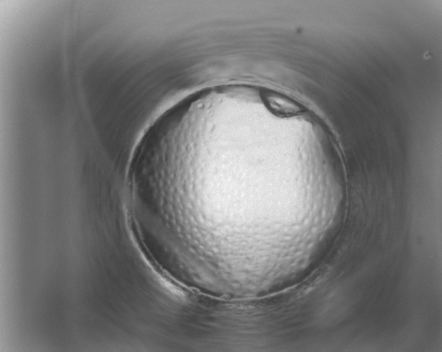 X0000062881525200601271608