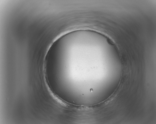 X0000062881526200601271608