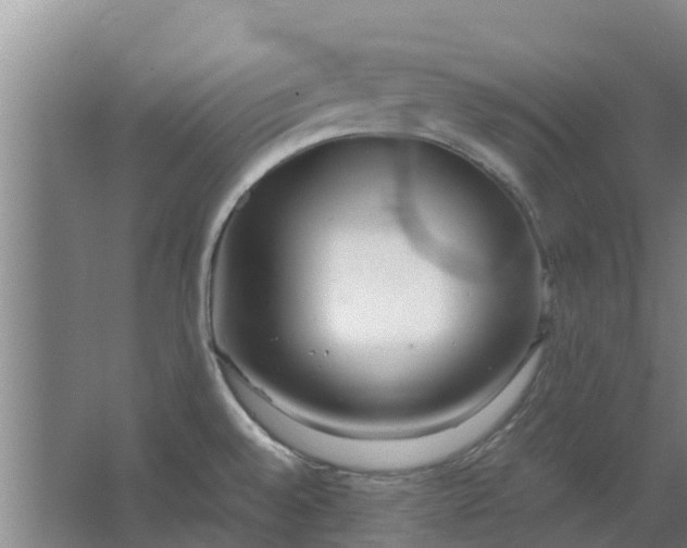 X0000062881528200601271608