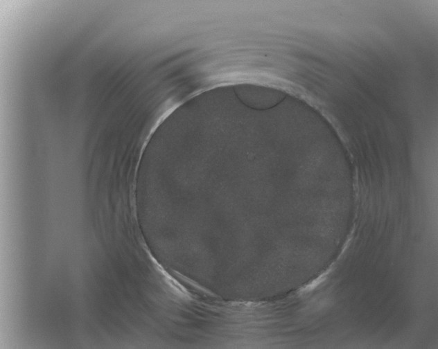 X0000062881529200601271608