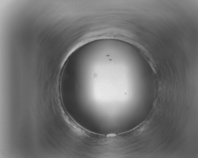 X0000062881530200601271608