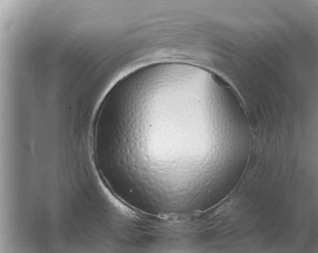 X0000062881531200601271608