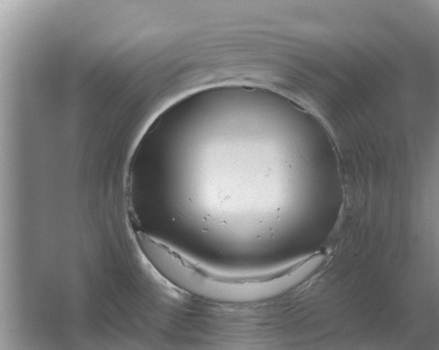 X0000062881532200601271608