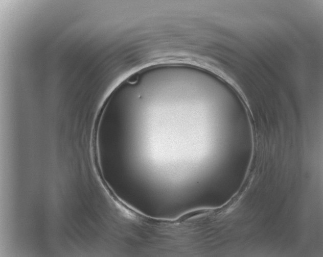 X0000062881533200601271609