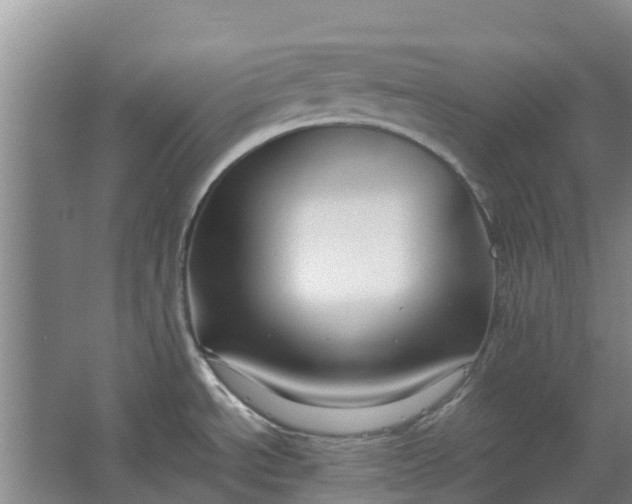 X0000062881534200601271609