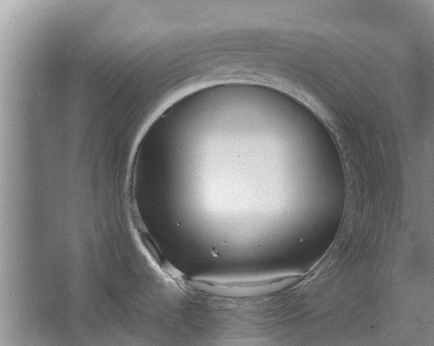 X0000062881536200601271609