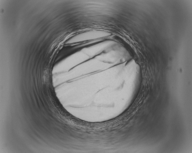 X0000062880002200602031753