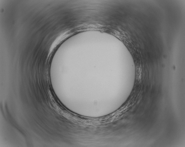 X0000062880004200602031753