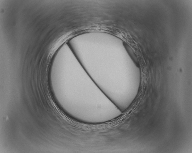 X0000062880005200602031753