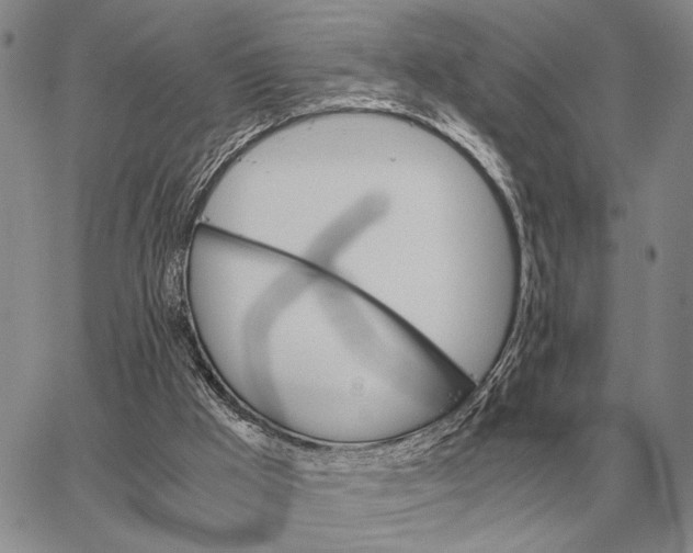 X0000062880009200602031753
