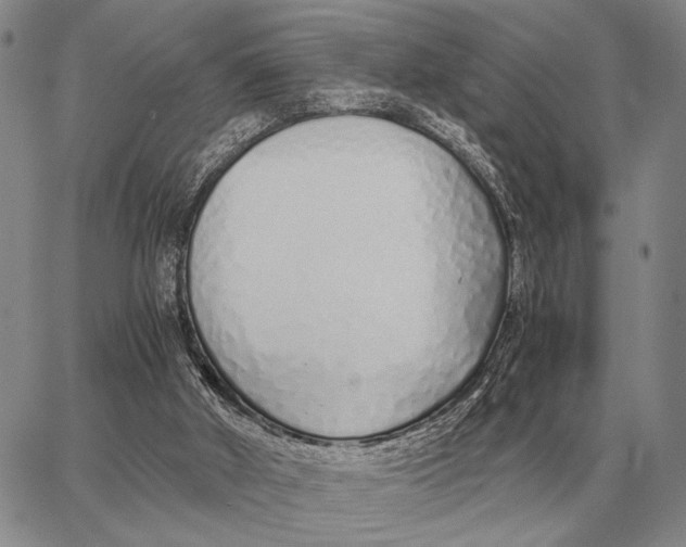 X0000062880010200602031753