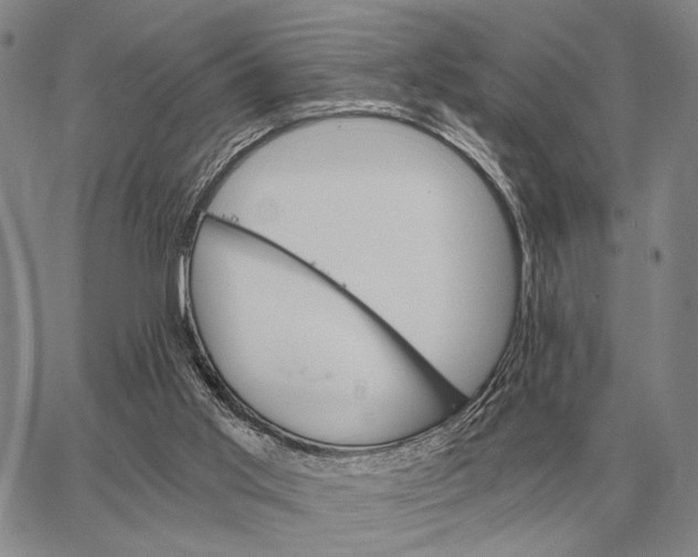 X0000062880013200602031753
