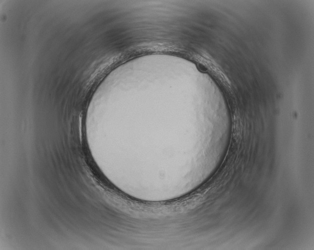 X0000062880014200602031753