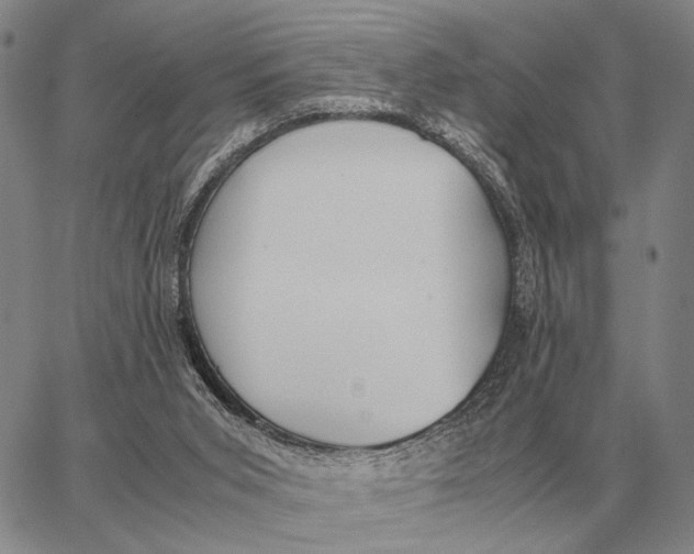 X0000062880015200602031753