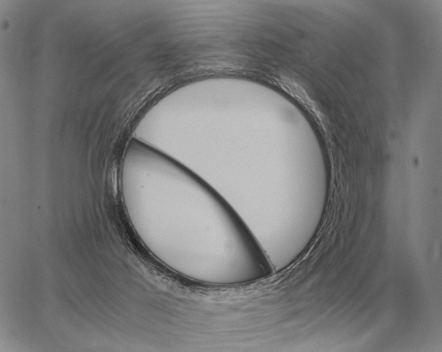 X0000062880021200602031753