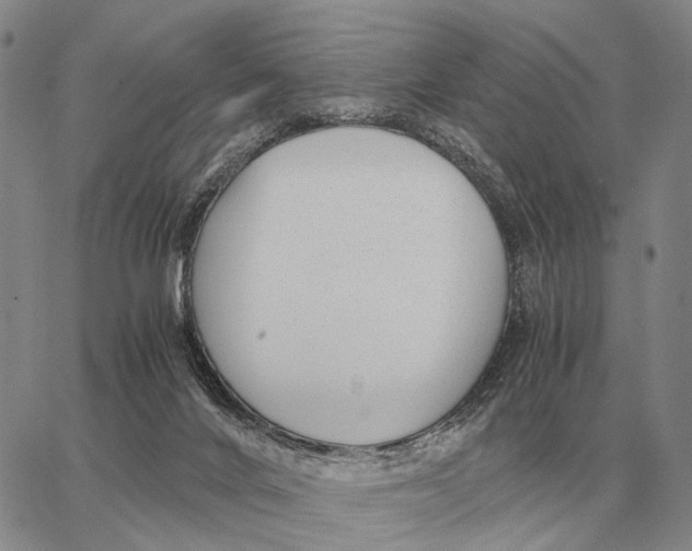 X0000062880024200602031753