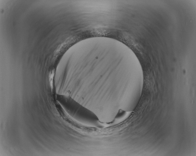 X0000062880027200602031753