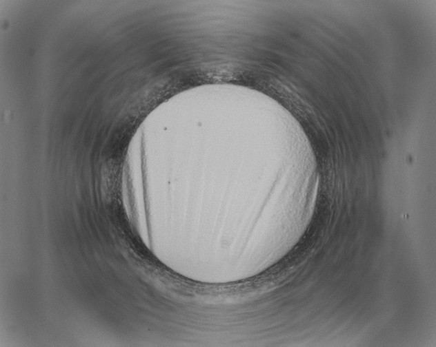 X0000062880030200602031753