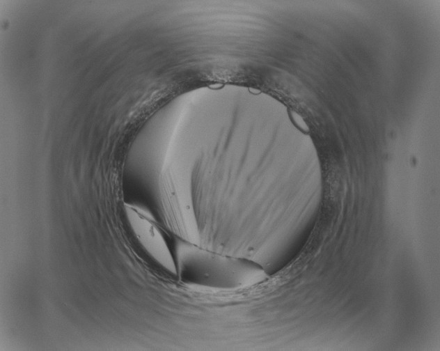 X0000062880031200602031753