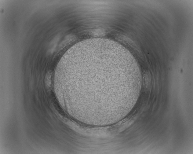 X0000062880032200602031753