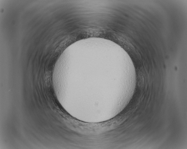 X0000062880034200602031753