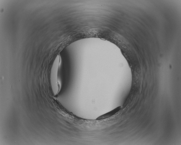 X0000062880037200602031753