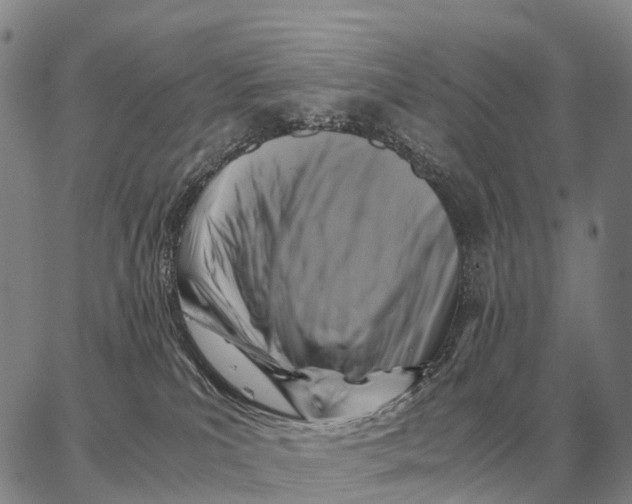 X0000062880039200602031753